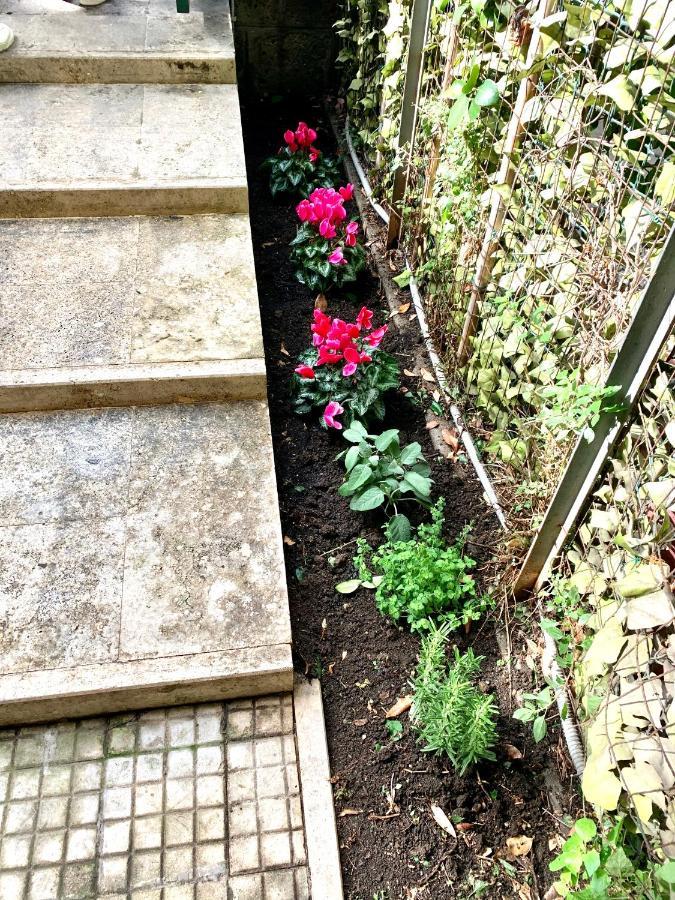 Vatican Garden Home Rome Extérieur photo